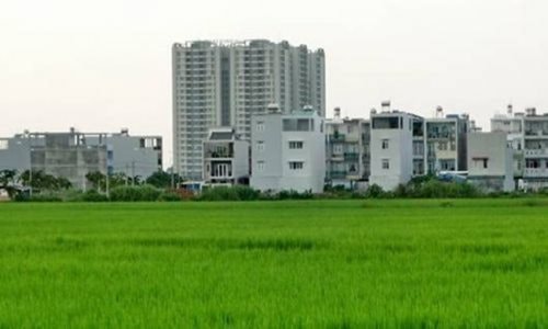 Hà Nội được phép chuyển 39,51 ha đất trồng lúa sang đất phi nông nghiệp