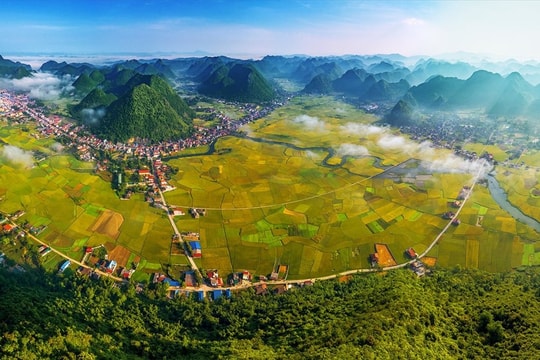 Quy hoạch vùng trung du và miền núi phía Bắc phải mang tính định hướng cao