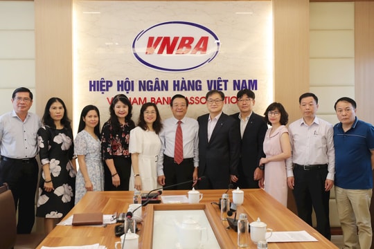 Tổng Thư ký VNBA Nguyễn Quốc Hùng tiếp và làm việc với Tổng Giám đốc Shinhan Finance Việt Nam