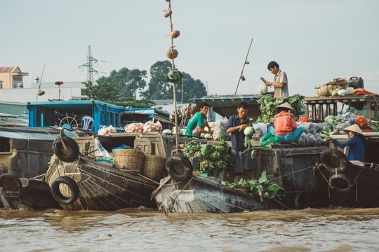 Thí điểm mô hình kinh tế tuần hoàn tại các chợ nổi ở Cần Thơ