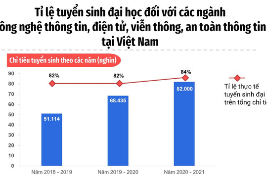 [Infographic] Đào tạo nguồn nhân lực số tại Việt Nam