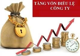 Thống nhất hồ sơ trình phê duyệt chủ trương đầu tư bổ sung vốn điều lệ của doanh nghiệp