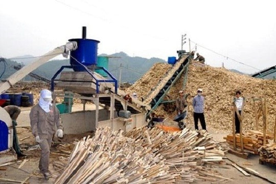 Thương mại gỗ Việt Nam - Trung Quốc: Hướng tới xây dựng thương mại ngành gỗ có trách nhiệm