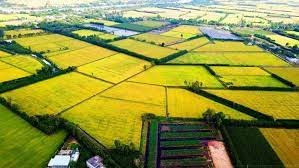 Phát triển kinh tế - xã hội vùng đồng bằng sông Cửu Long với nhiều mục tiêu cụ thể