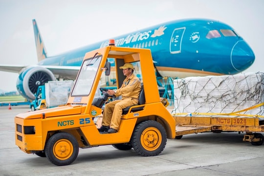 Dịch vụ Hàng hóa Nội Bài chốt quyền trả cổ tức còn lại năm 2021 tới 63%