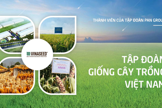 Giống cây trồng Việt Nam (NSC) chốt quyền nhận cổ tức 40% bằng tiền