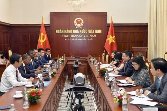 Phó Thống đốc NHNN Phạm Thanh Hà tiếp Thống đốc Ngân hàng Cộng hòa Haiti