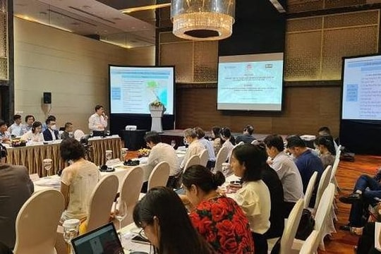 Chuyên gia WB: “Hệ thống đô thị là cốt lõi của tăng trưởng kinh tế...”