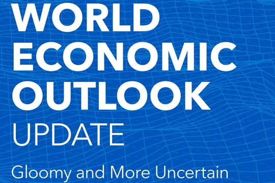 Triển vọng kinh tế bất ổn, IMF hạ dự báo GDP toàn cầu