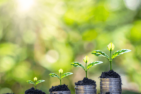 Syngenta Việt Nam tham gia chương trình huy động nguồn vốn xanh của HSBC