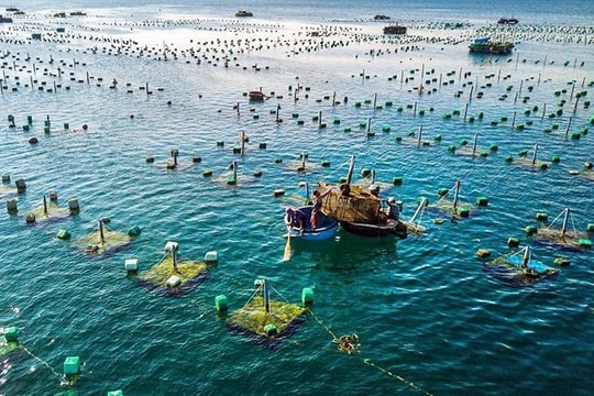 Ban hành Chương trình Quốc gia phát triển nuôi trồng thủy sản giai đoạn 2021 - 2030