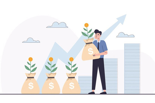 Hiểu biết tài chính khu vực nông thôn Việt Nam