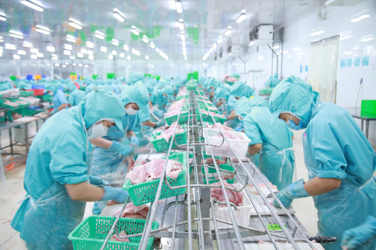 Đầu tư và Phát triển Đa Quốc Gia (IDI) chốt danh sách chi trả cổ tức bẳng tiền mặt 15%