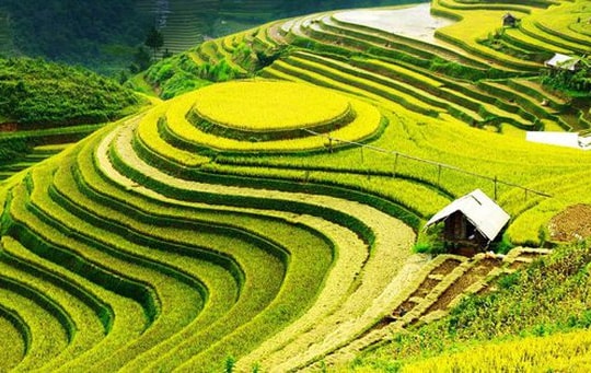 Quy chế hoạt động của Hội đồng điều phối vùng trung du và miền núi phía Bắc