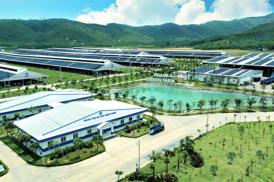 55% người tiêu dùng chọn tính bền vững là yếu tố rất quan trọng khi lựa chọn thương hiệu
