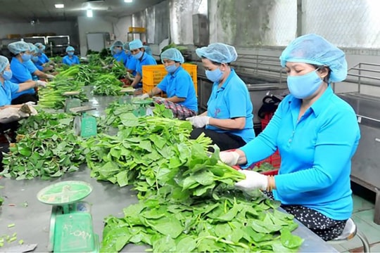Khơi thông gói hỗ trợ lãi suất, doanh nghiệp đề nghị mở rộng đối tượng (Bài 4) 