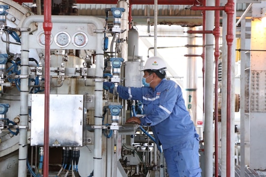 Đạm Cà Mau (DCM) báo lãi quý III/2022 đạt 786 tỷ đồng, tăng gần gấp đôi cùng kỳ
