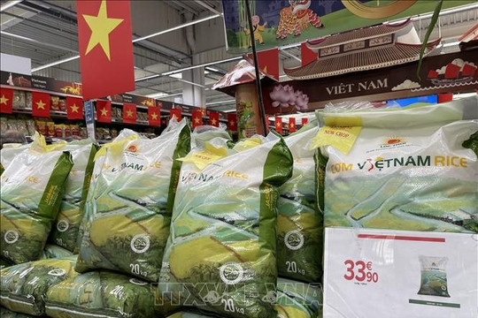 Khuyến khích doanh nghiệp phát triển đại lý phân phối tại thị trường nước ngoài