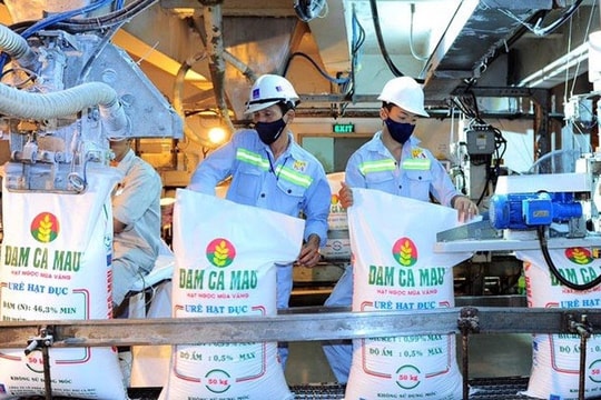 Đạm Cà Mau (DCM): Doanh thu năm 2022 ước đạt 15.000 tỷ đồng, cao nhất trong lịch sử hoạt động