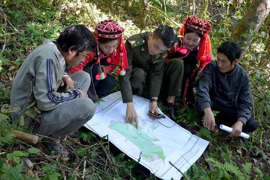 Phê duyệt đề án tăng cường phòng, chống tội phạm về đa dạng sinh học đến năm 2030, tầm nhìn đến năm 2050