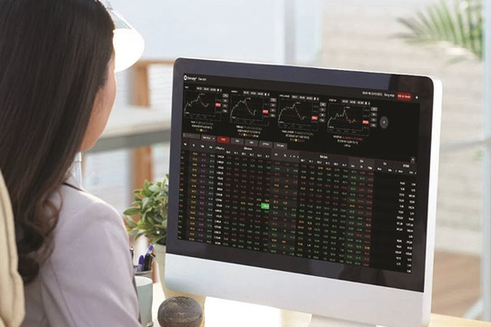 Thực trạng sử dụng các mô hình định giá cổ phần trên thị trường chứng khoán Việt Nam
