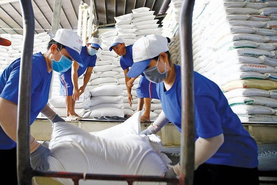VietinBank đẩy mạnh cho vay thu mua, kinh doanh lúa, gạo