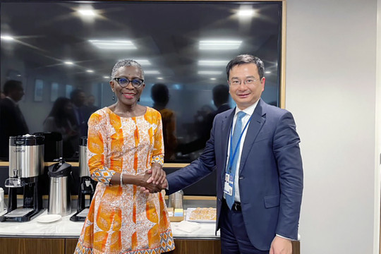 Phó Thống đốc NHNN Phạm Thanh Hà gặp và làm việc với lãnh đạo IMF