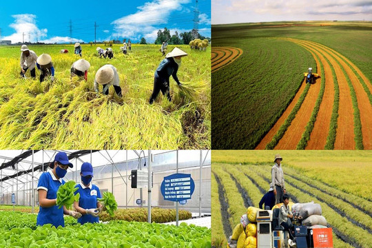 Kế hoạch hành động của ngành Ngân hàng thực hiện Nghị quyết của Chính phủ về nông nghiệp, nông dân, nông thôn