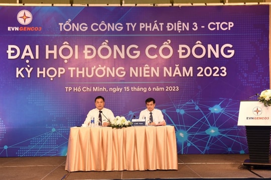 ĐHĐCĐ EVNGENCO3: Đảm bảo nguồn cung than và khí liên tục trong năm 2023