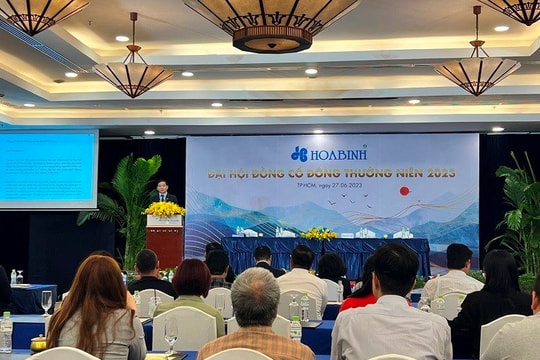 ĐHĐCĐ Hòa Bình: Chủ tịch Lê Viết Hải nhận trách nhiệm khi chưa đưa Hòa Bình phát triển như kỳ vọng