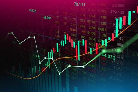 VN-Index hồi phục 13,04% trong nửa đầu năm