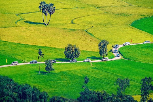 Ngân hàng Chính sách Xã hội An Giang chủ động nâng cao chất lượng tín dụng chính sách để giảm nghèo bền vững