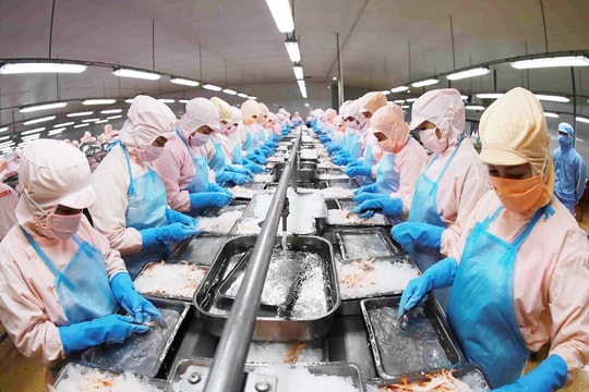 Cần Thơ: Cho vay lĩnh vực xuất khẩu tăng 14,1%