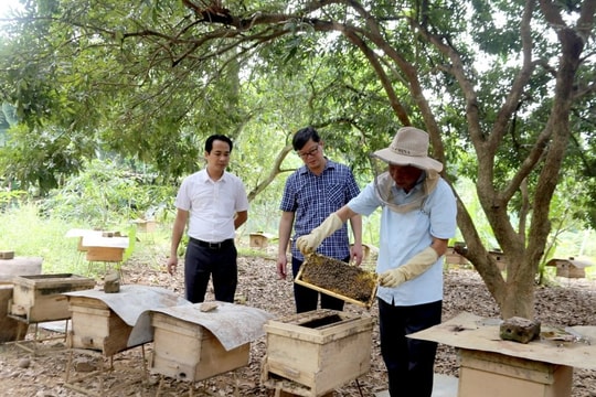 Phát triển làng nghề truyền thống gắn với du lịch: Hiệu quả kép trong phát triển kinh tế