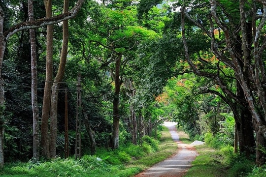 Vườn quốc gia Cúc Phương tiếp tục được bình chọn là 'Vườn quốc gia hàng đầu châu Á'