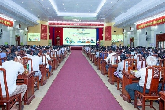 Tăng năng suất và lợi nhuận nhờ sử dụng NPK Cà Mau công nghệ Polyphosphate
