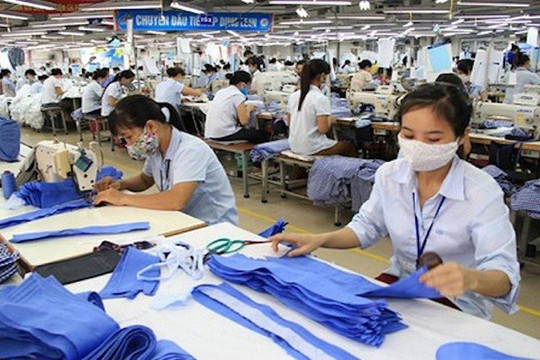 Xanh hoá tạo thách thức lớn cho mặt hàng xuất khẩu tỷ USD của Việt Nam