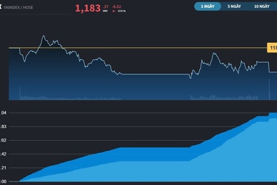 VN-Index đang ươm mầm hy vọng, tăng 0,46% trong cả tuần giao dịch