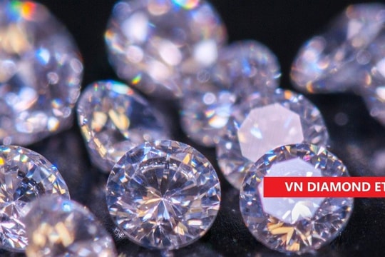 Sau khi đã công bố rổ VN Diamond, HOSE lại bất ngờ thêm VRE