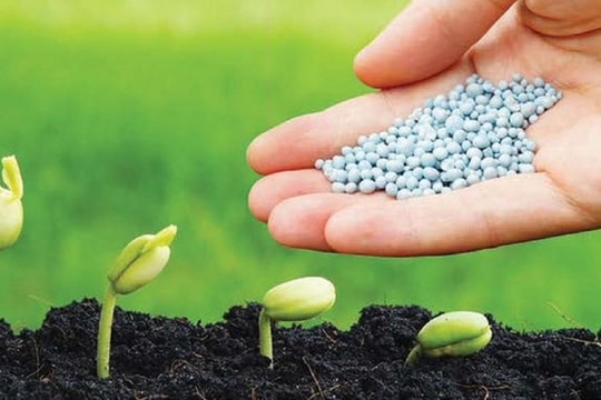 Ngành phân bón quý III/2023: Doanh nghiệp nhỏ lãi bằng lần, lợi nhuận “ông lớn” xuống đáy