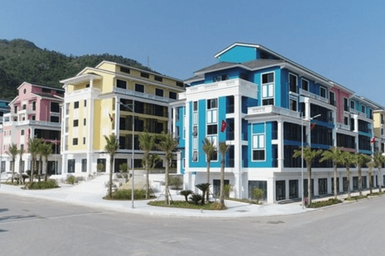 Quý III/2023, Tập đoàn CEO báo lãi giảm 32% so với cùng kỳ