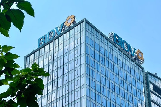 BIDV: Ngân hàng đầu tiên phục vụ Chương trình chuyển nhượng kết quả giảm phát thải tại Việt Nam