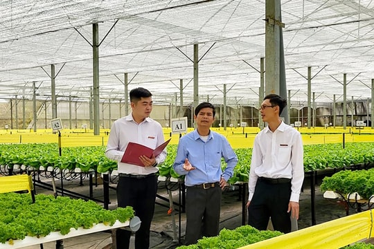 Agribank tiếp tục giảm lãi suất hỗ trợ khách hàng phục hồi sau dịch COVID-19