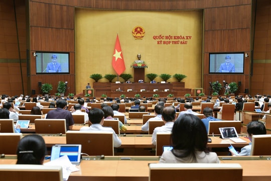 Kiến nghị trúng đấu giá nhưng không mua có thể bị phạt bằng 50% mức giá đã trả