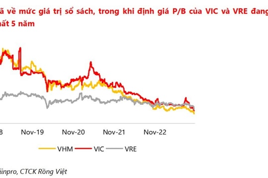 VDSC: “Trợ lực nhóm cổ phiếu VIC giải tỏa tâm lý tiêu cực trên thị trường”