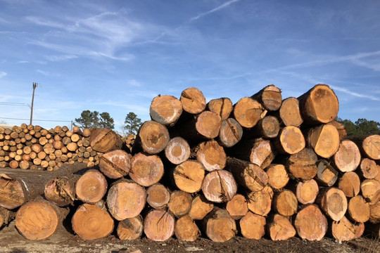 Bộ Công Thương ban hành Thông tư quy định về việc tạm ngừng kinh doanh tạm nhập, tái xuất gỗ tròn, gỗ xẻ từ rừng tự nhiên từ Lào và Campuchia