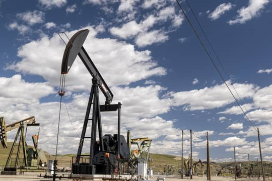 Thông tin dự trữ xăng dầu Mỹ tăng cao kéo giá dầu sụt mạnh