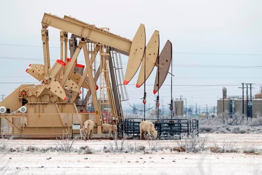 OPEC+ hoãn họp, giá dầu xuống dưới 75 USD/thùng