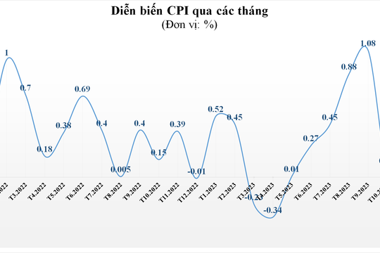 8/11 nhóm hàng hóa, dịch vụ tăng giá kéo CPI tháng 11 tăng 0,25% so với tháng trước