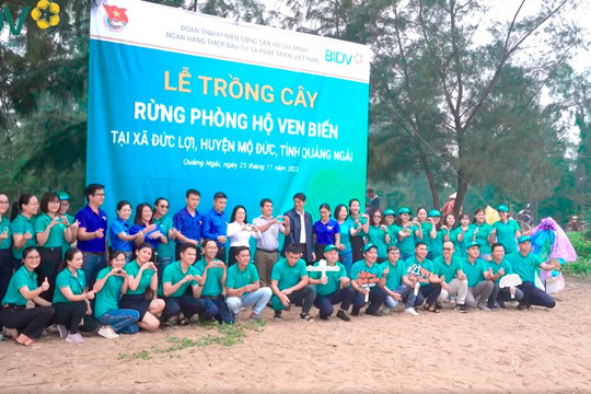 Đoàn Thanh niên BIDV tham gia hưởng ứng đề án “1 tỷ cây xanh” của Thủ tướng Chính phủ